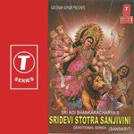 Sridevi Stotra Sanjivini - Anupama Song Download